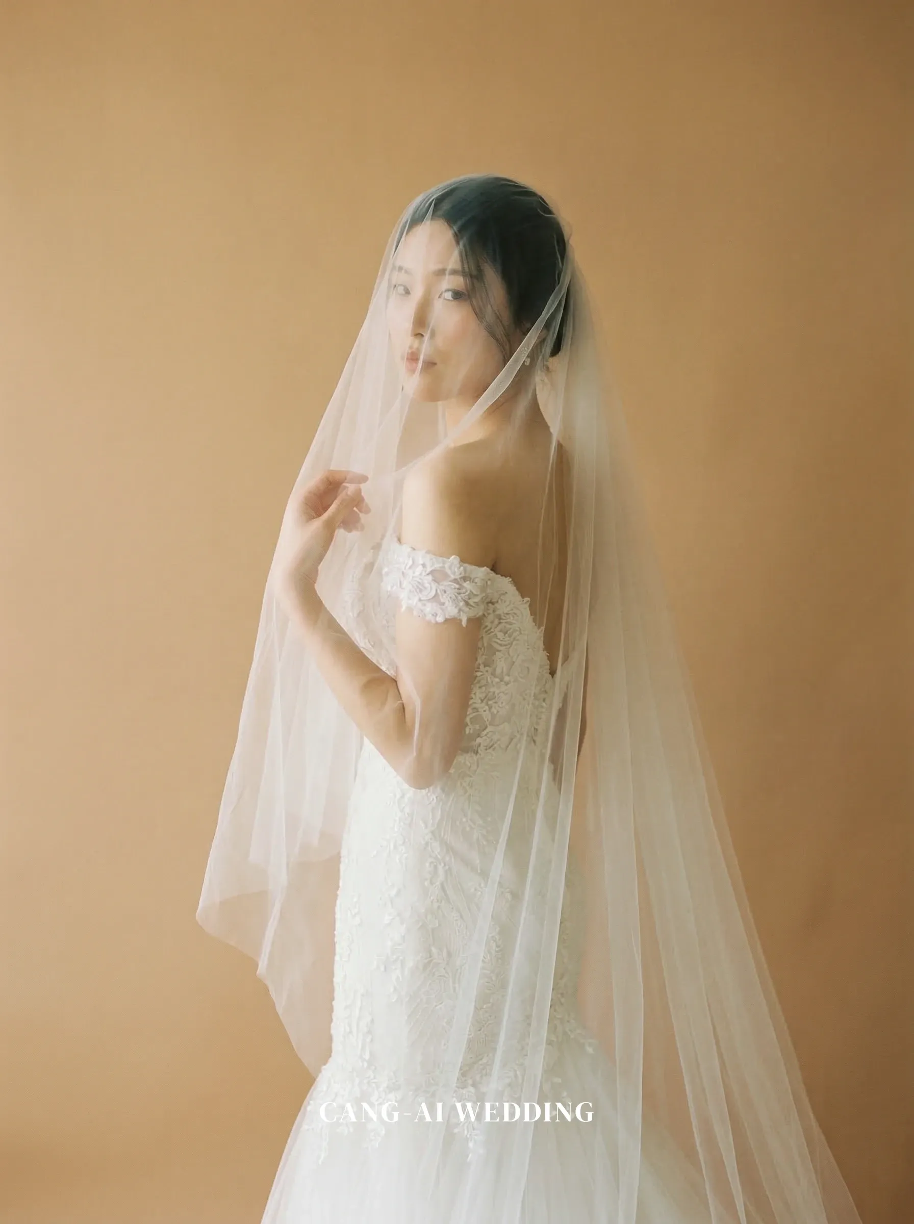 Mermaid Wedding Dresses Gallery